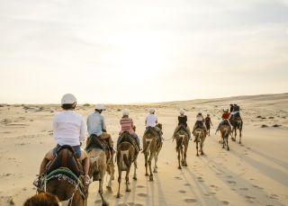 Sunset camel riding experience with in Anna Bay - Port Stephens